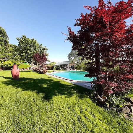 La Cupoletta -Holiday House - Gilda Trevignano Romano Exterior foto